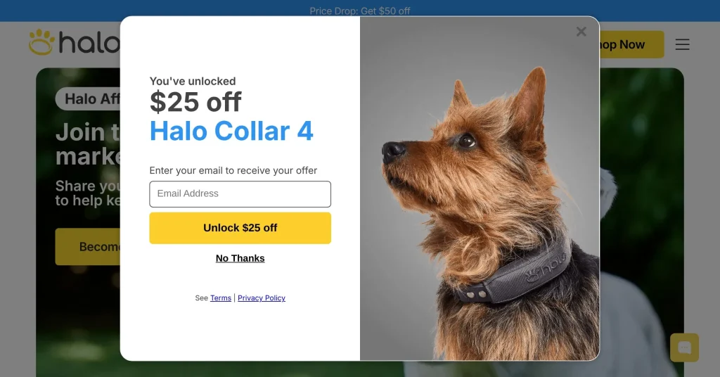 Hallo Collar Programas de Afiliados de Perros