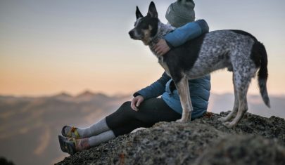 Pet Affiliate Programs