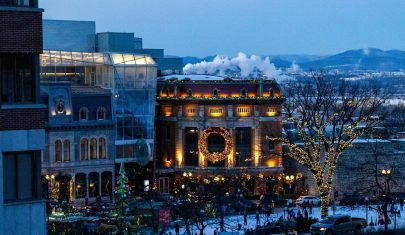 pexels-david-montanari-298755364-29710306 (1)